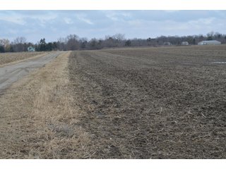 Property photo 17 - 173 +/- Acres Offered in 3 Tracts - Ohio Farmland